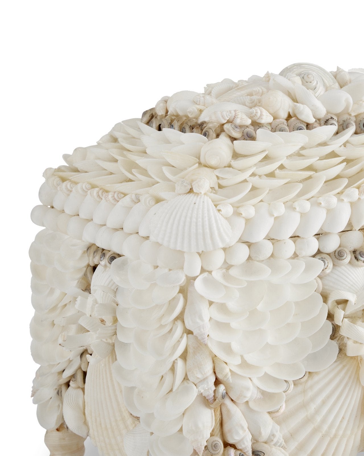 Boardwalk White Shell Jewelry Box