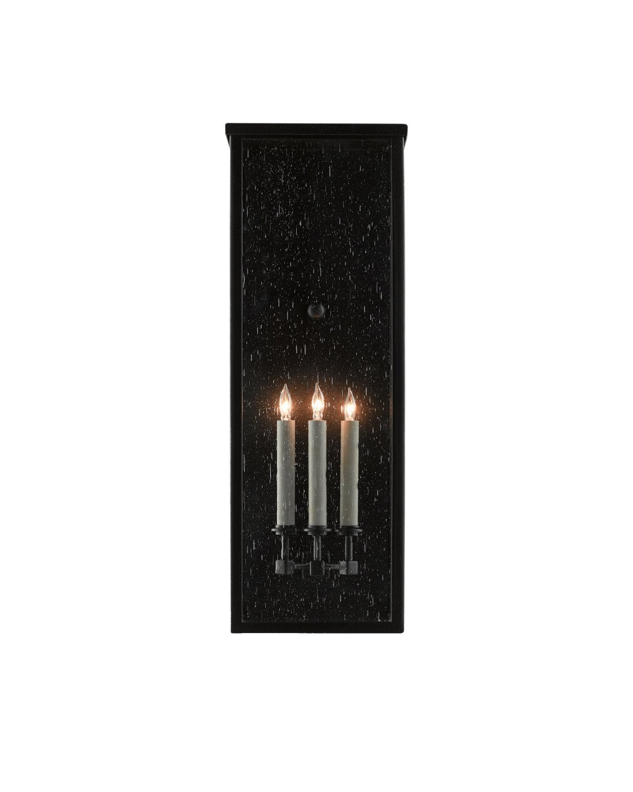 Tanzy Large Outdoor Wall Sconce