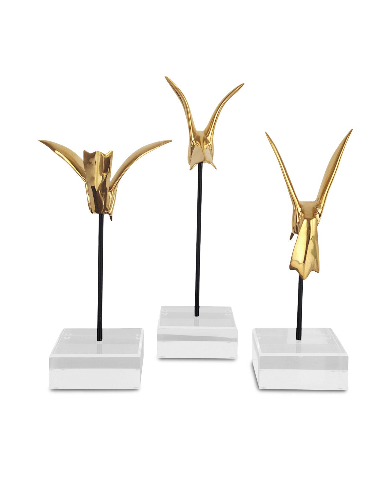 Back View of Gold Hummingbirds Set of Sculptures by Currey and Company displayed on a tabletop, illustrating their elegant design and hovering effect.