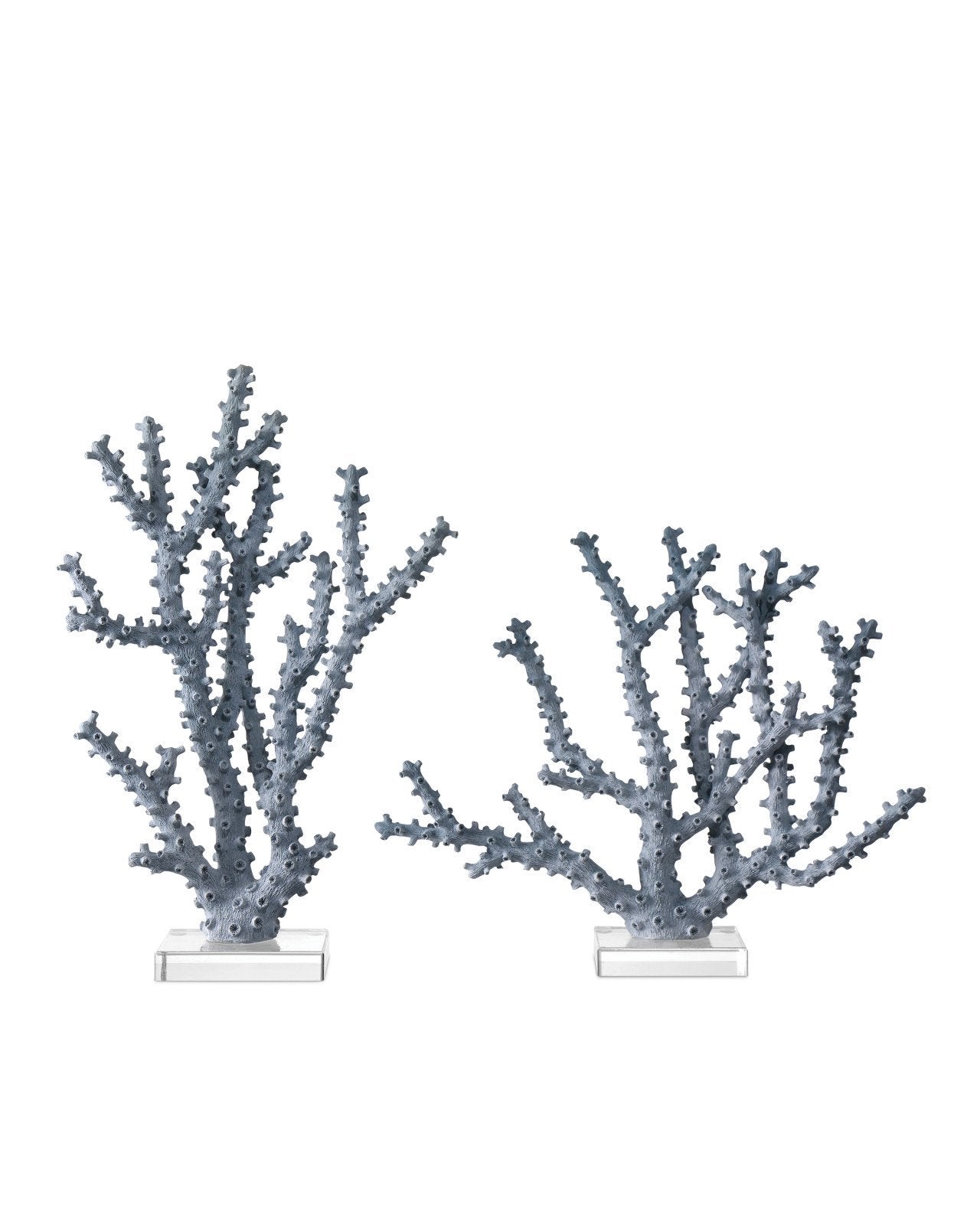 Blue Coral Set of 2