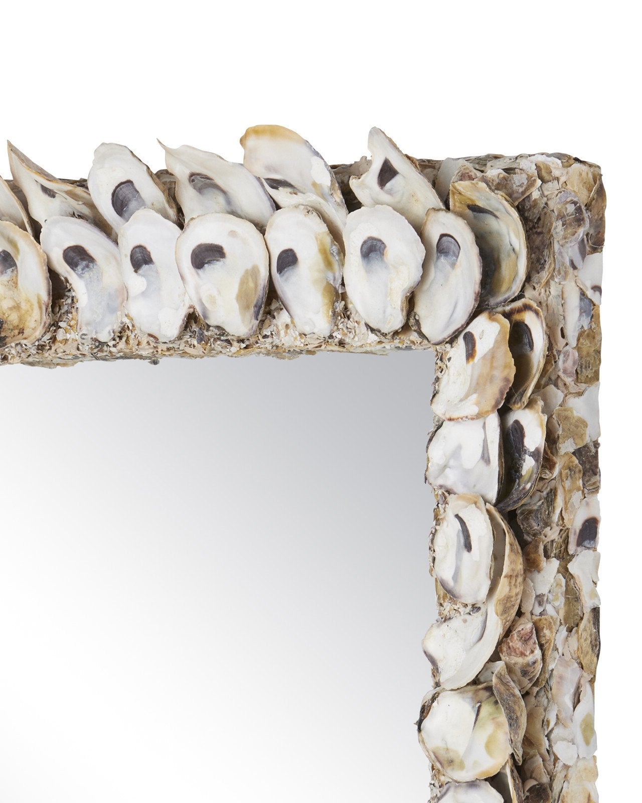 Oyster Shell Square Mirror
